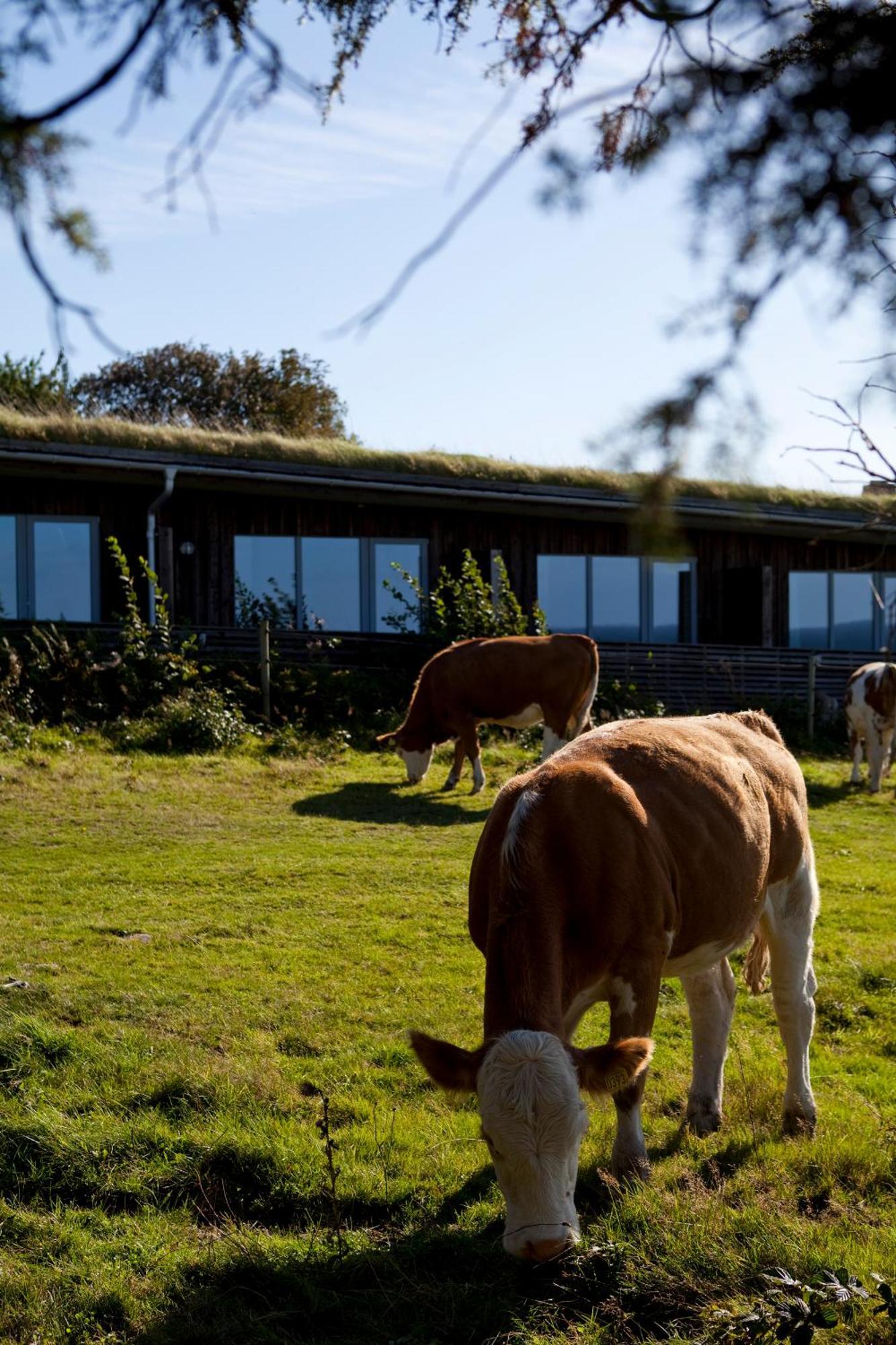 Hotell Och Restaurang Hovs Hallar Båstad Esterno foto